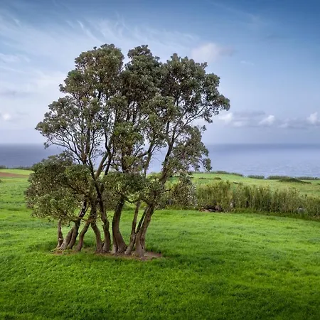 Casa Luz Casa de Férias